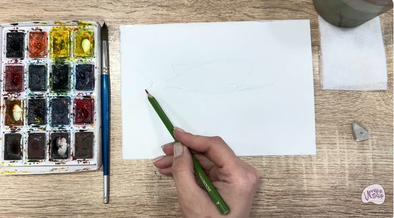 Рисуем Чернокрапчатый ворчун