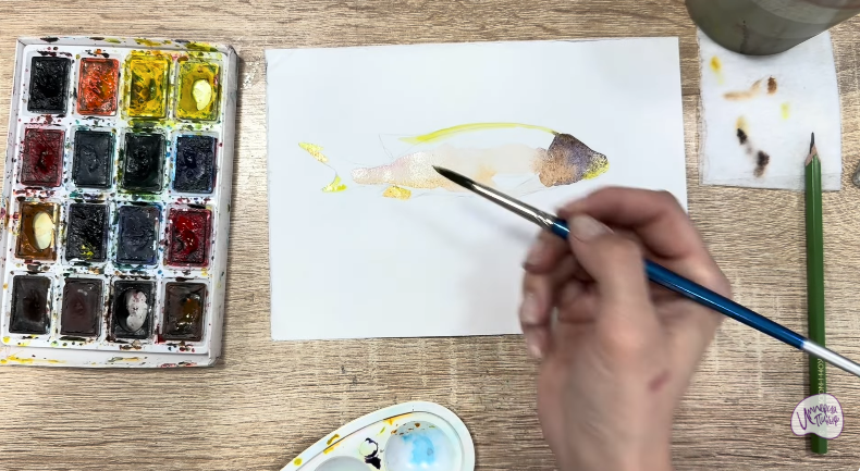 Рисуем Чернокрапчатый ворчун