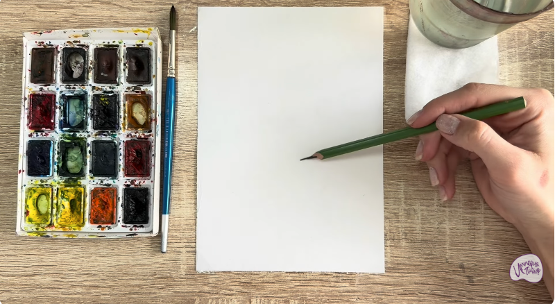 Рисуем Чина луговая