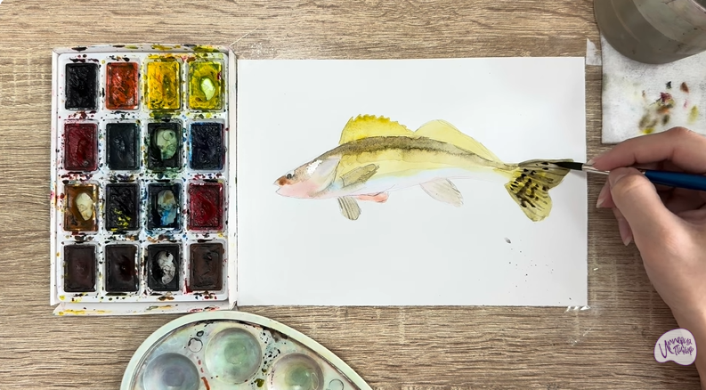 Рисуем Берш