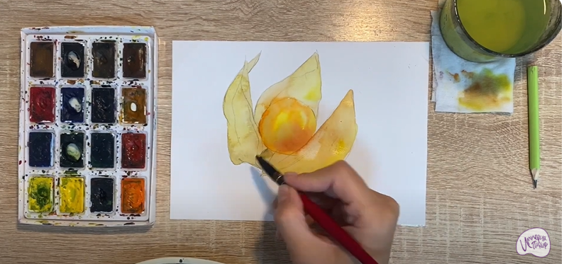 Рисуем Физалис