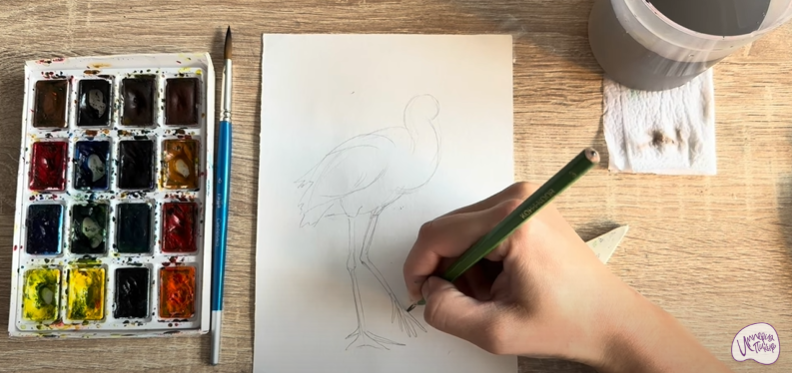 Рисуем Колпица Рисуем Колпица