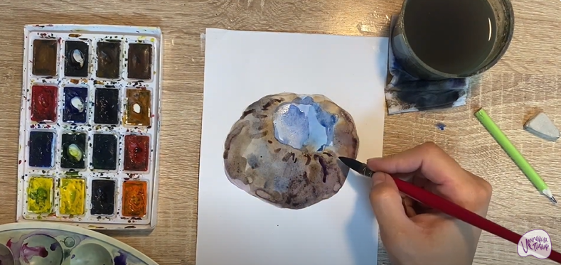 Рисуем Саркосома шаровидная