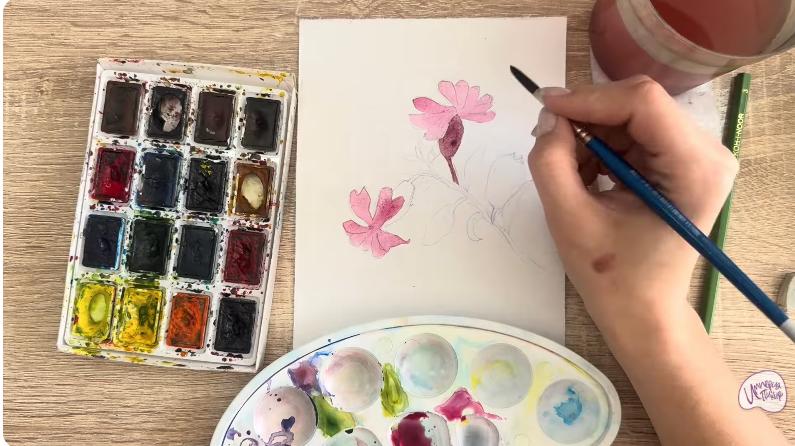 Рисуем Розовая смолёвка