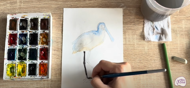 Рисуем Колпица Рисуем Колпица