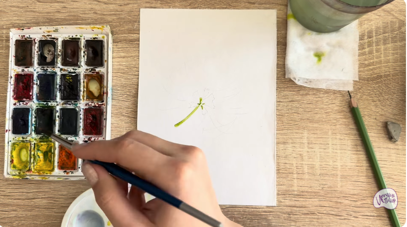 Рисуем Альбиция