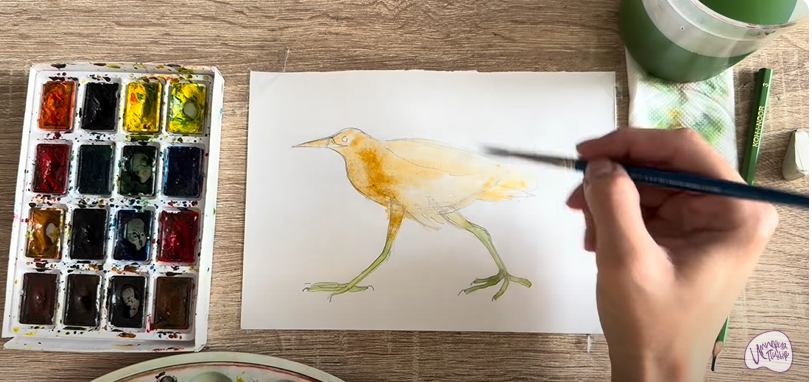 Рисуем Выпь Рисуем Выпь