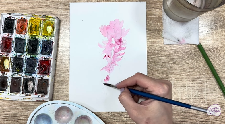 Рисуем Мирикария лисохвостая