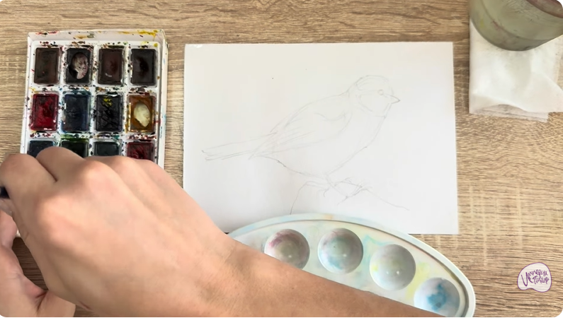 Рисуем Обыкновенная лазоревка