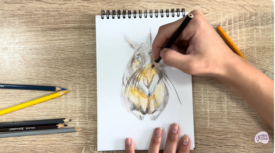 Рисуем Горная вискаша