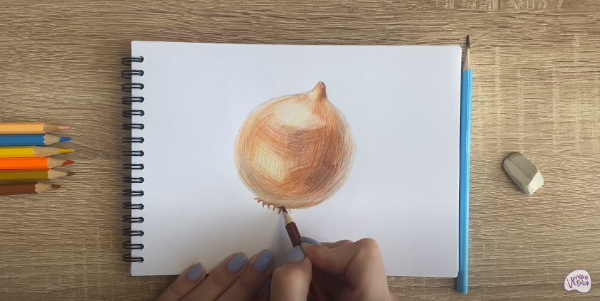 Рисуем Луковица