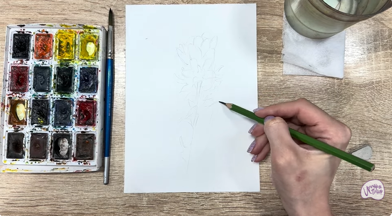 Рисуем Мирикария лисохвостая