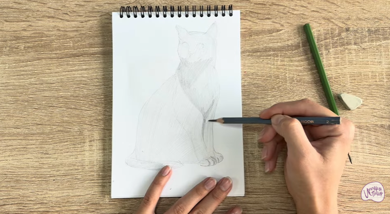 Рисуем Бурманский кот Рисуем Бурманский кот