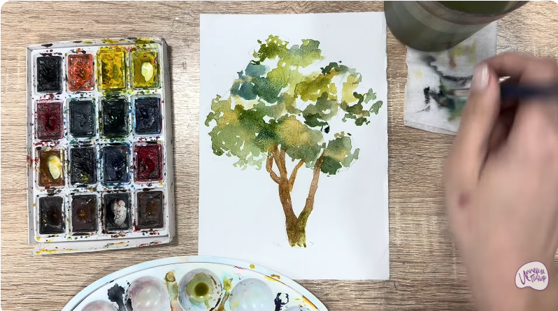 Рисуем Бархат амурский