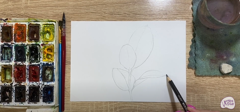 Рисуем Фикус