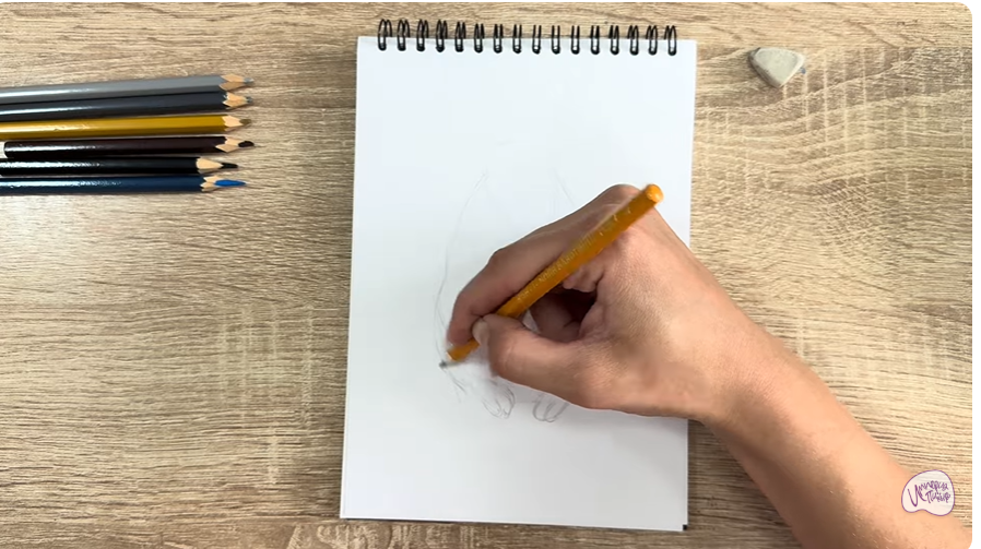 Рисуем Горная вискаша