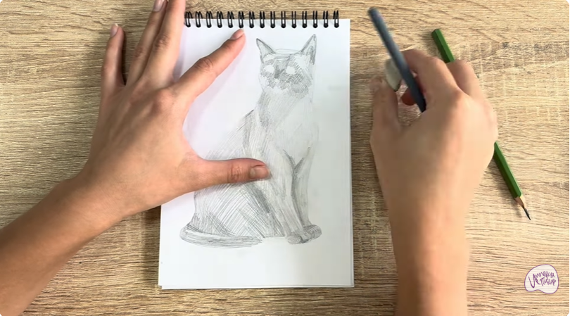 Рисуем Бурманский кот Рисуем Бурманский кот