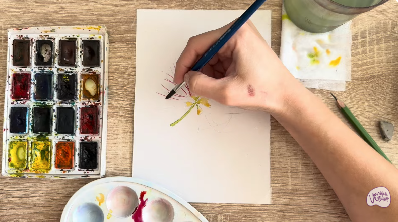 Рисуем Альбиция