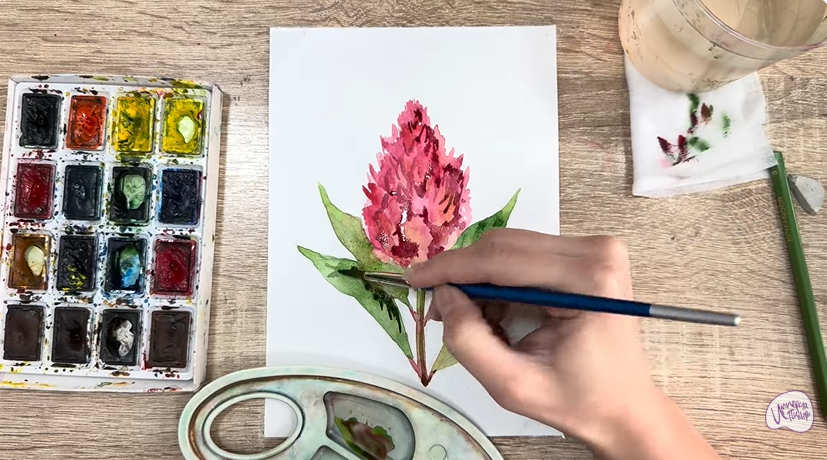 Рисуем Целозия