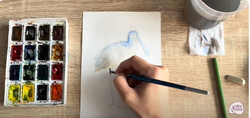 Рисуем Колпица Рисуем Колпица