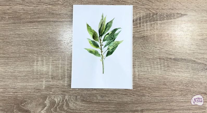 Рисуем Лавровый лист