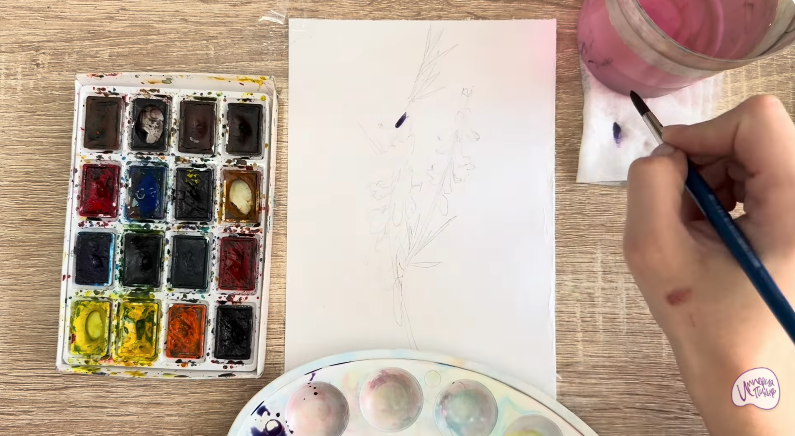 Рисуем Мышиный горошек