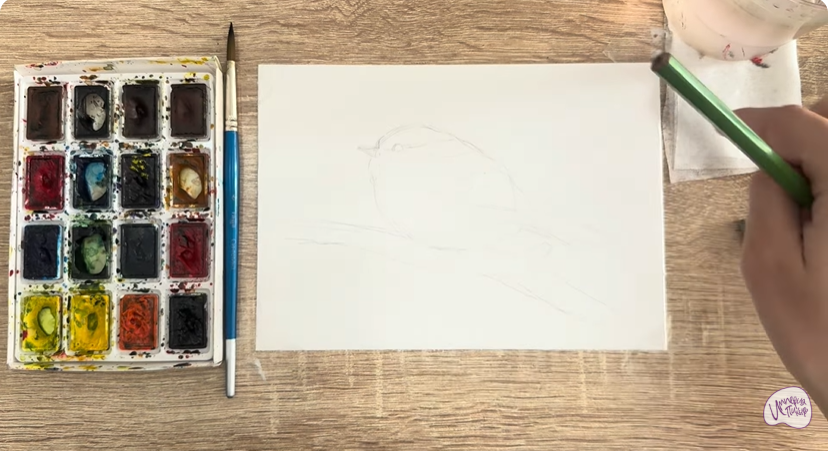 Рисуем Пухляк