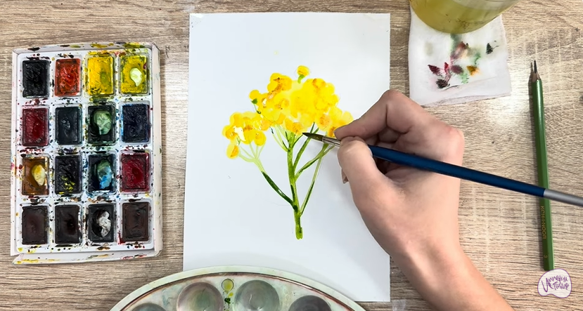 Рисуем Пижма