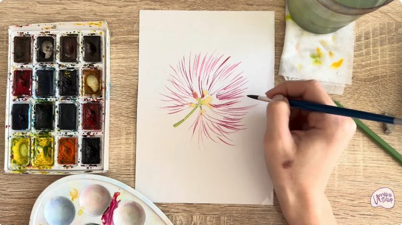 Рисуем Альбиция