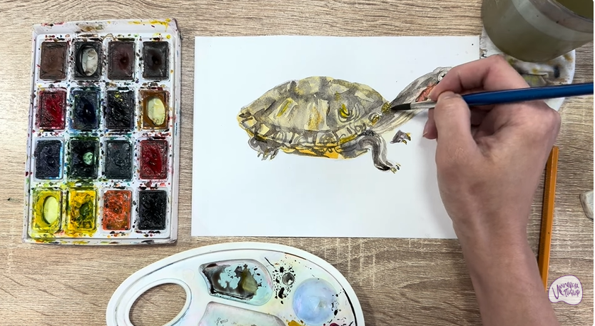 Рисуем Красноухая черепаха