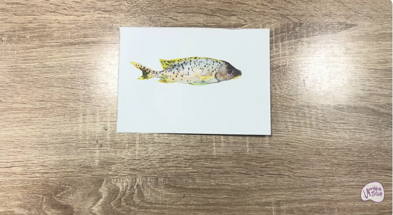 Рисуем Чернокрапчатый ворчун