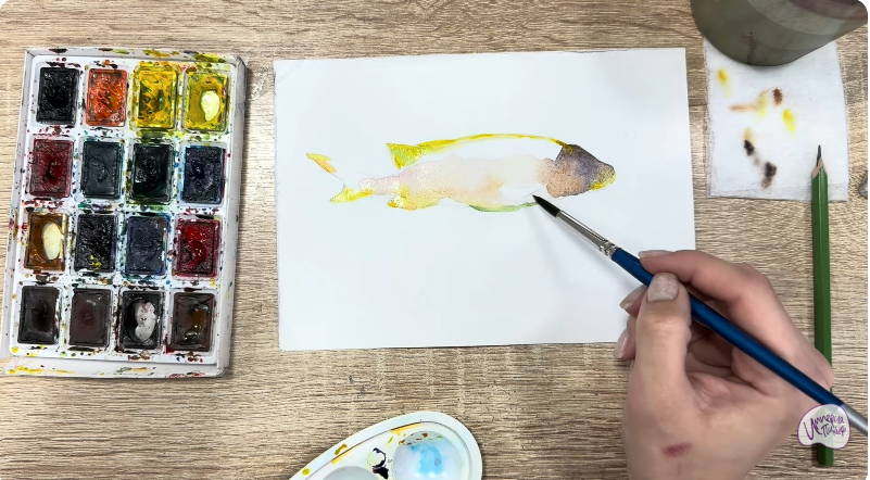 Рисуем Чернокрапчатый ворчун