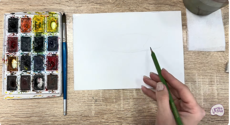 Рисуем Чернокрапчатый ворчун