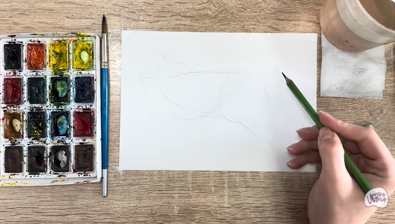 Рисуем Каракатица