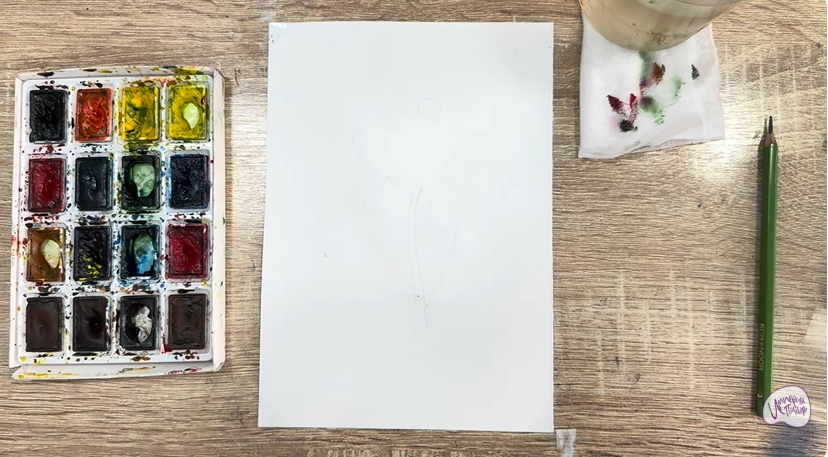 Рисуем Пижма