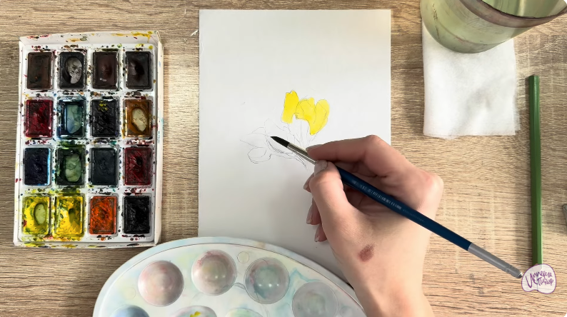 Рисуем Чина луговая