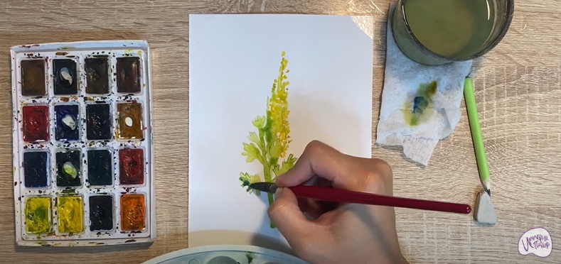 Рисуем Гроздовник ромашколистный