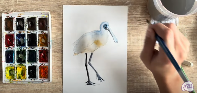 Рисуем Колпица Рисуем Колпица