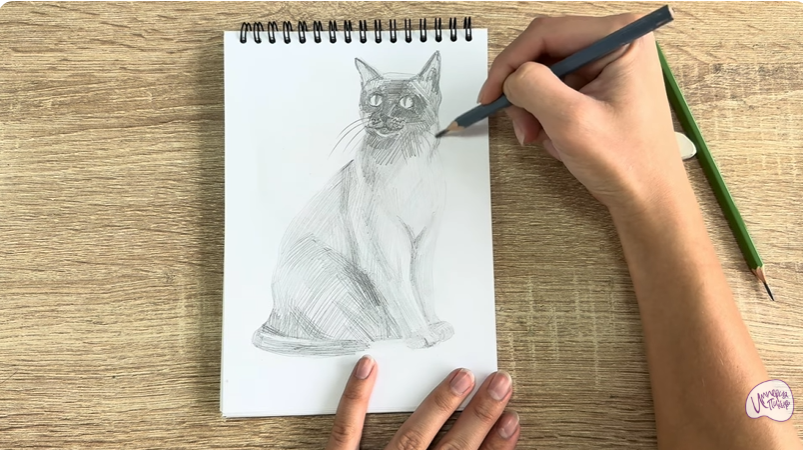 Рисуем Бурманский кот Рисуем Бурманский кот