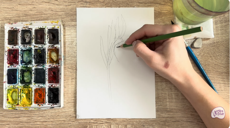 Рисуем Желтый рябчик