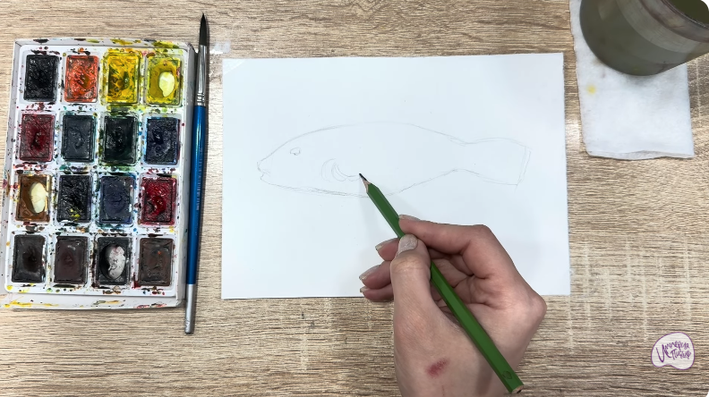 Рисуем Аротрон звёздчатый