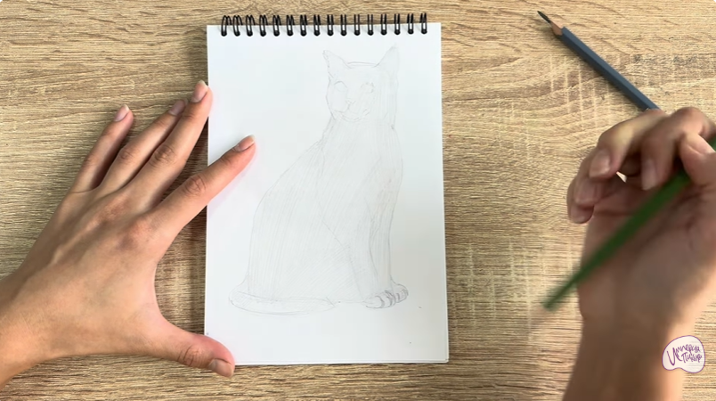 Рисуем Бурманский кот Рисуем Бурманский кот