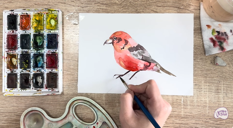 Рисуем Клест - еловик