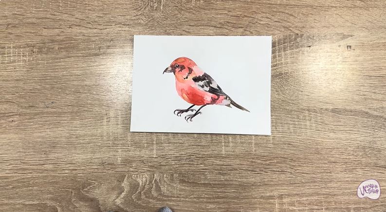 Рисуем Клест - еловик Рисуем Клест - еловик