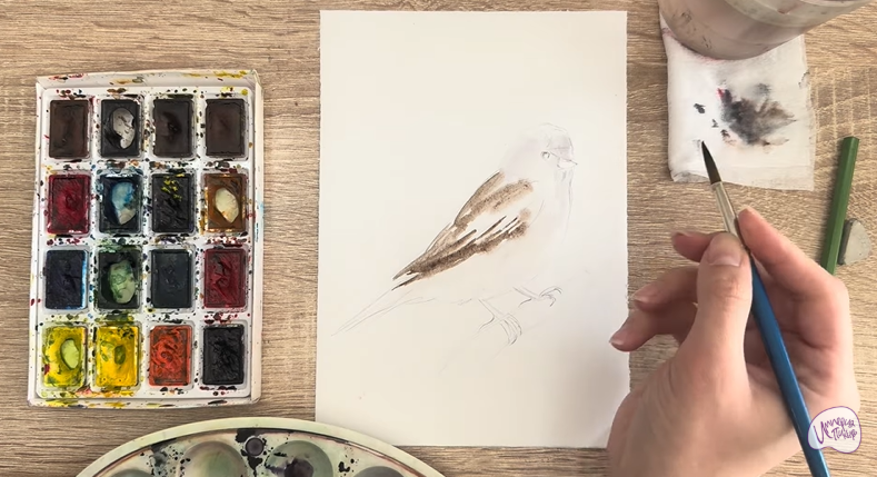 Рисуем Обыкновенная чечётка