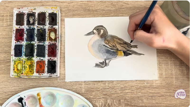 Рисуем Чирок-клоктун