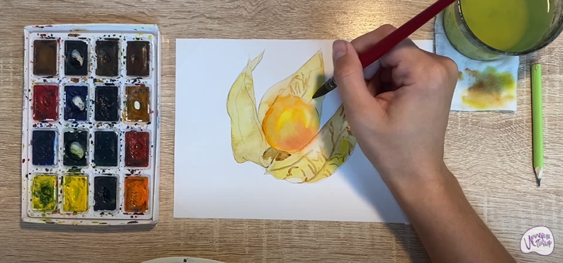 Рисуем Физалис