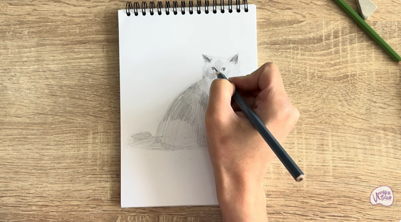 Рисуем Кошка породы Рэгдолл