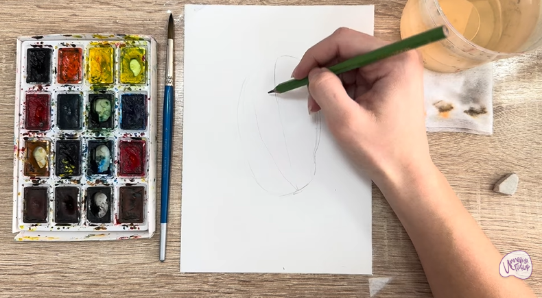 Рисуем Акебия