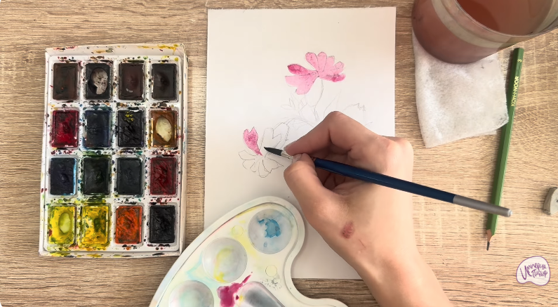 Рисуем Розовая смолёвка